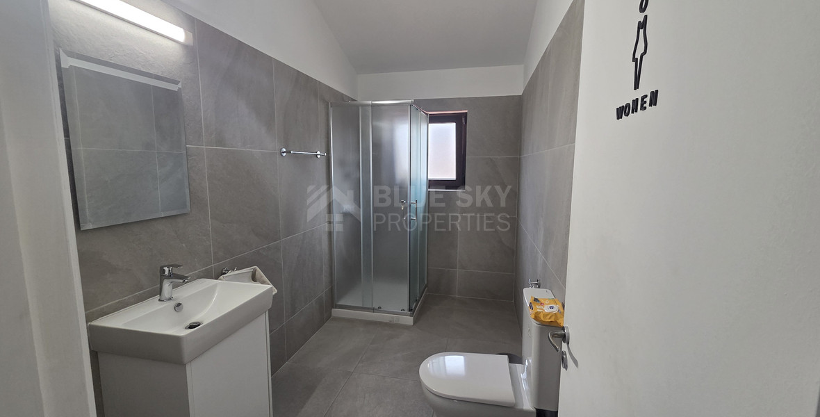 Luxury Seven Plus One Bedroom Detached House  For Rent in Agios Athanasios Limassol