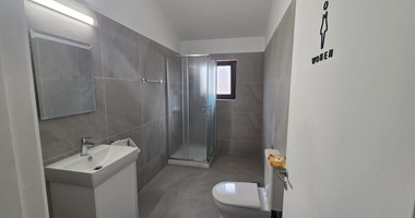 Luxury Seven Plus One Bedroom Detached House  For Rent in Agios Athanasios Limassol
