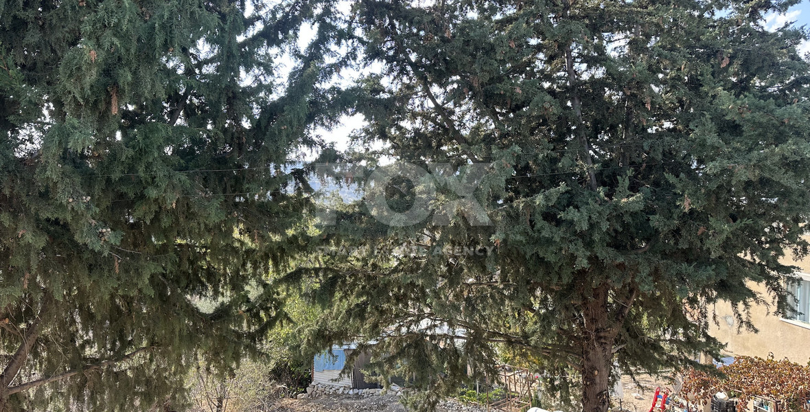 Two story house with an adjacent flat in Amargeti, Paphos