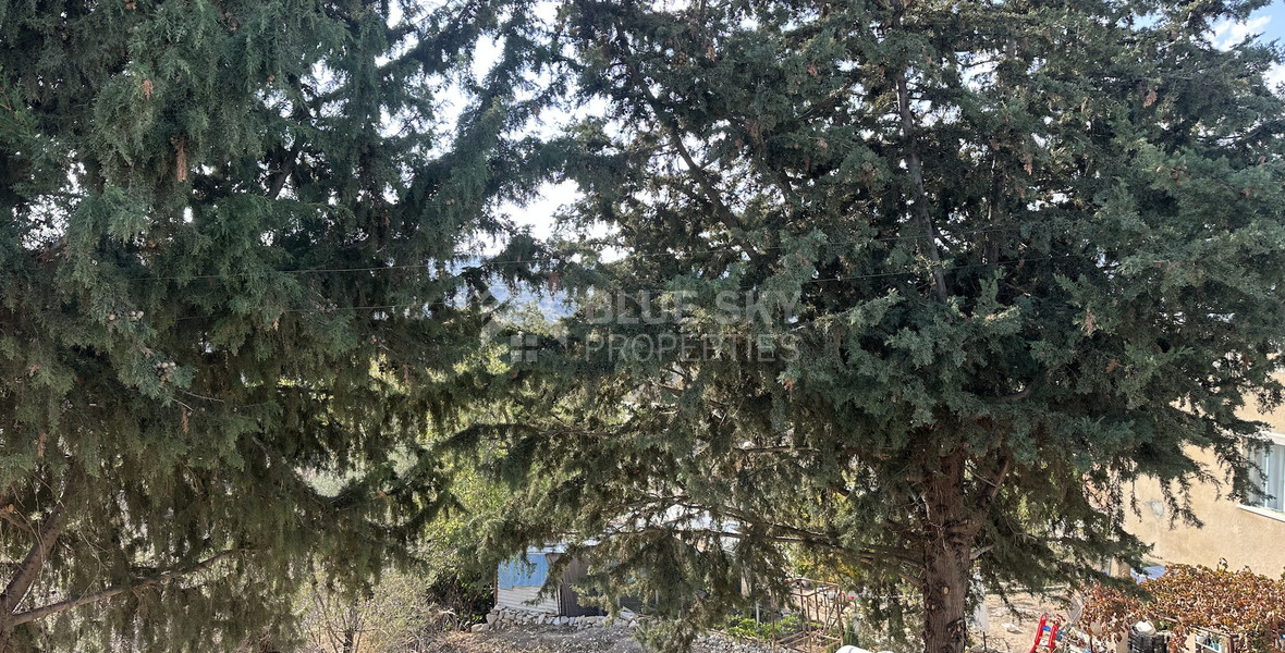 Two story house with an adjacent flat in Amargeti, Paphos