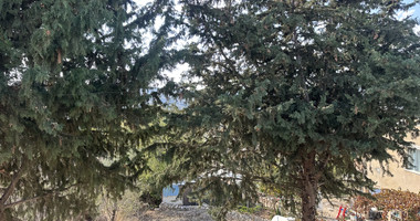 Two story house with an adjacent flat in Amargeti, Paphos