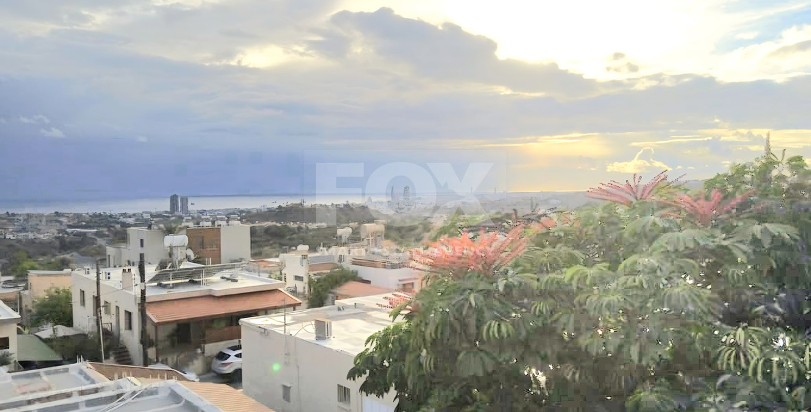 Three bedroom pet friendly house available for rent in Mouttagiaka Limassol