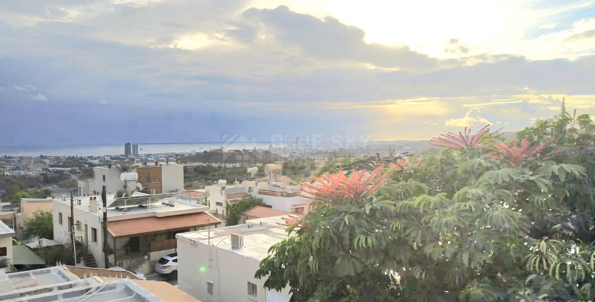 Three bedroom pet friendly house available for rent in Mouttagiaka Limassol