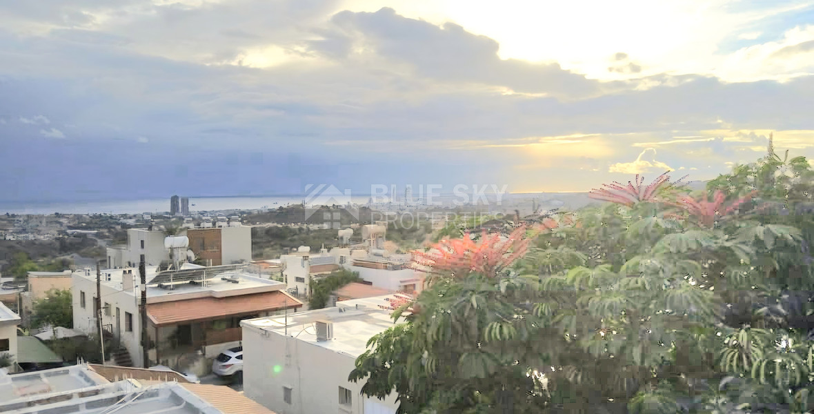 Three bedroom pet friendly house available for rent in Mouttagiaka Limassol