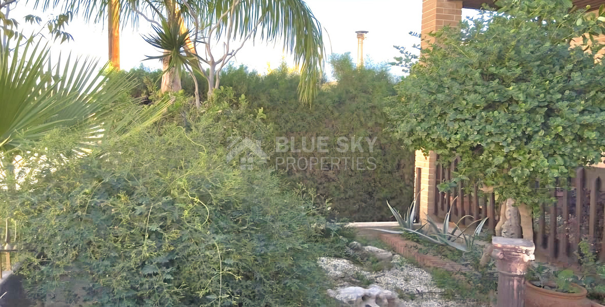 Three bedroom pet friendly house available for rent in Mouttagiaka Limassol