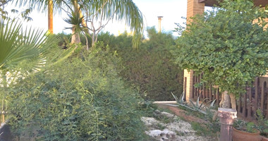 Three bedroom pet friendly house available for rent in Mouttagiaka Limassol