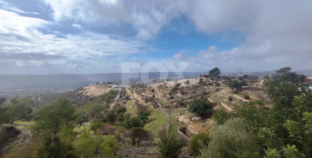 Huge land in Apesia village for sale , Limassol