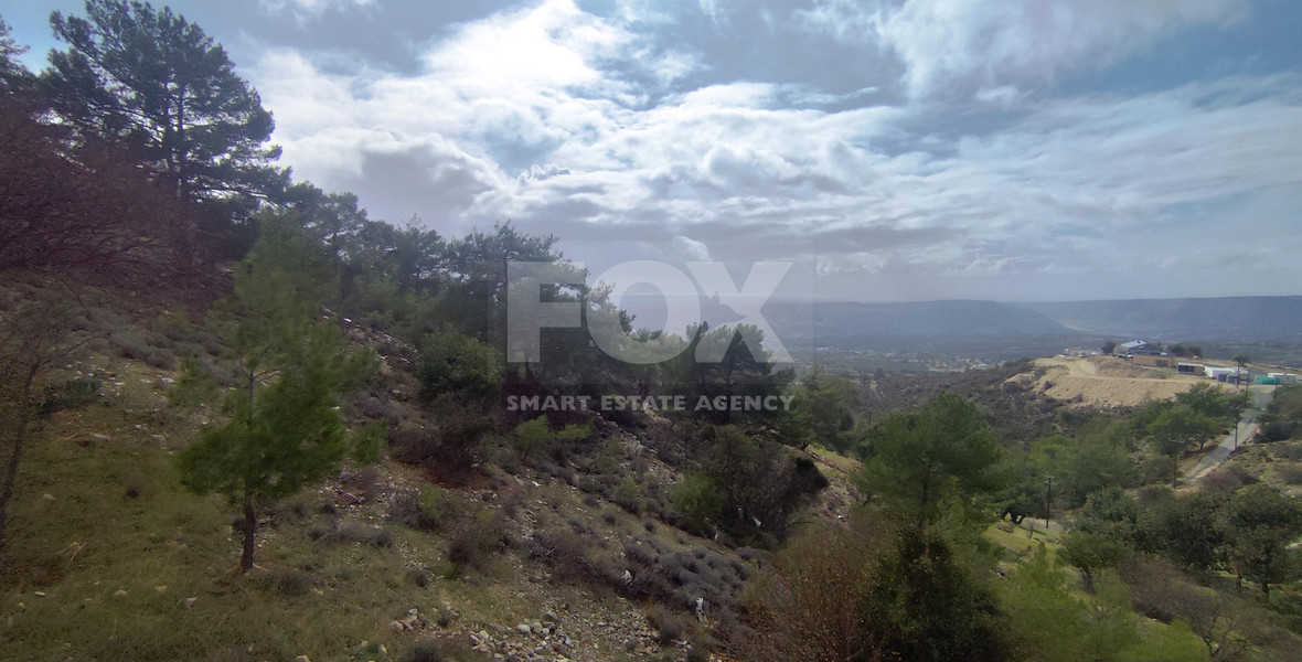 Huge land in Apesia village for sale , Limassol