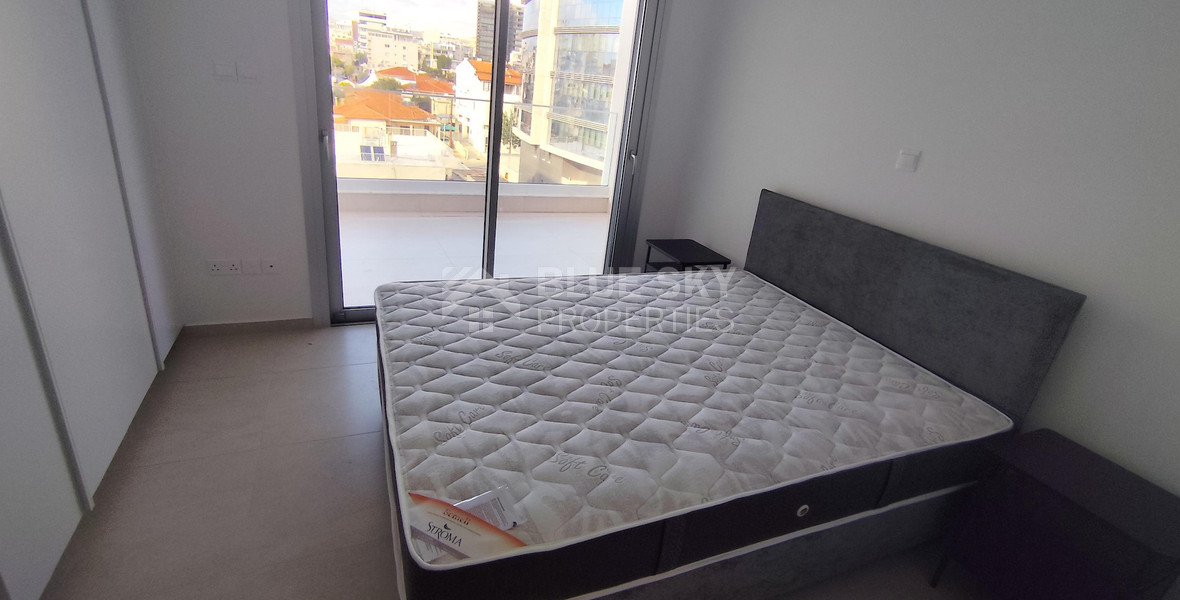 Brand new two bedroom Penthouse  for rent  in Agia Zoni, Limassol