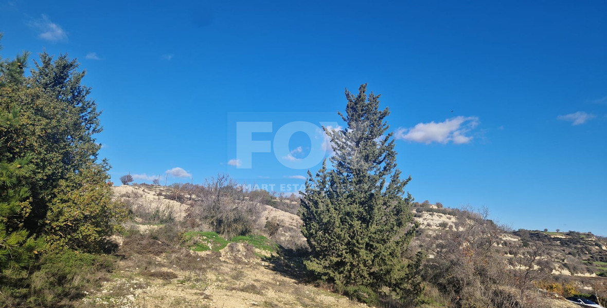 Large 1338 m2 Field for Sale in Tsada