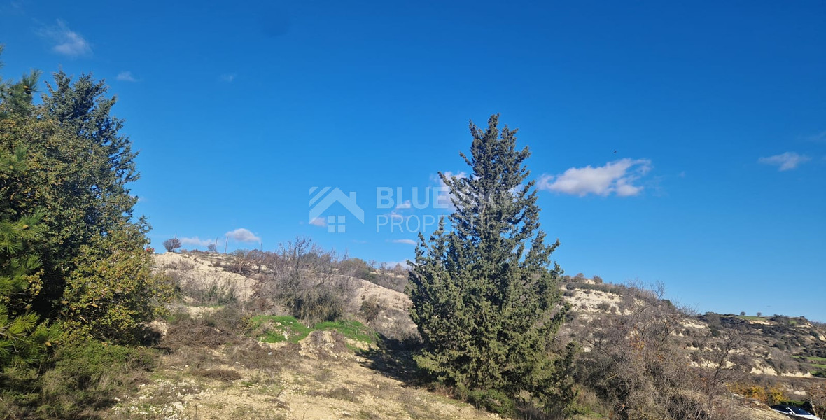 Large 1338 m2 Field for Sale in Tsada