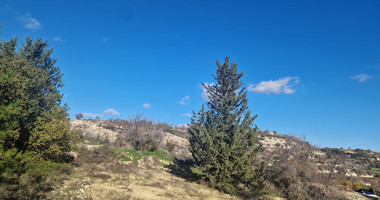 Large 1338 m2 Field for Sale in Tsada