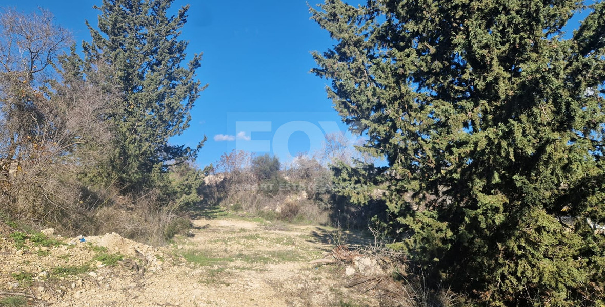 Large 1338 m2 Field for Sale in Tsada