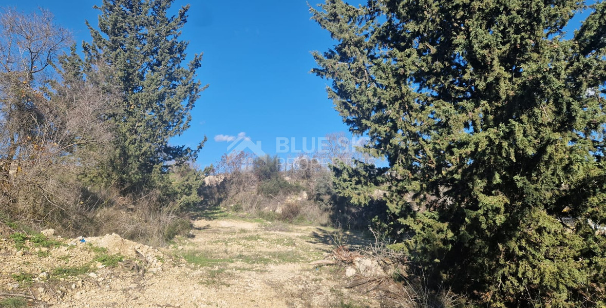 Large 1338 m2 Field for Sale in Tsada