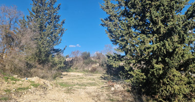 Large 1338 m2 Field for Sale in Tsada