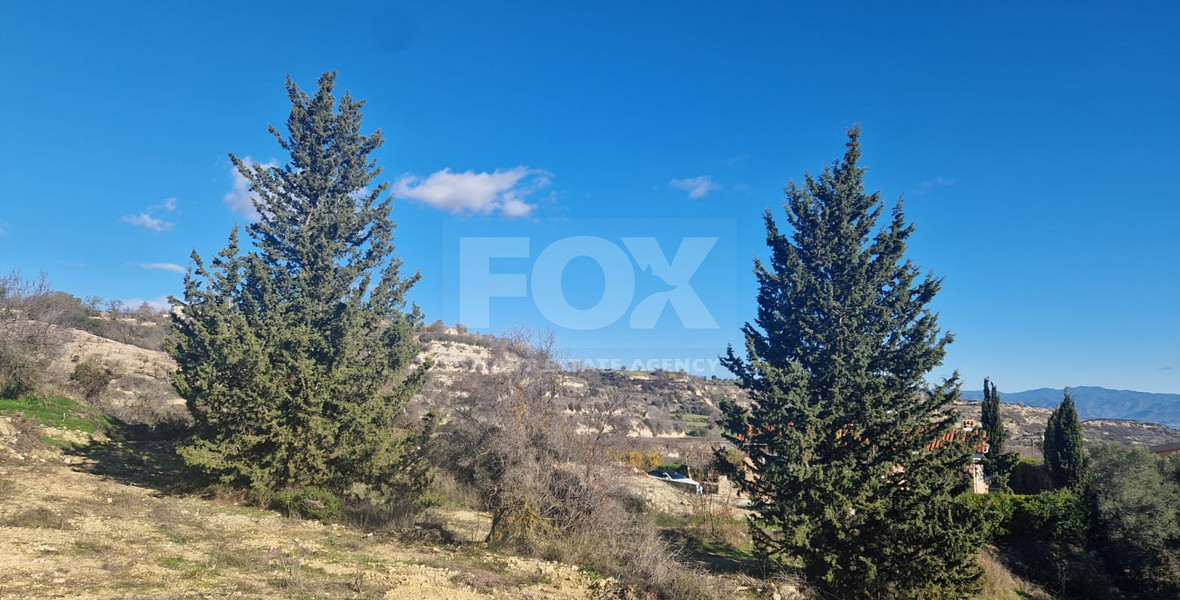 Large 1338 m2 Field for Sale in Tsada