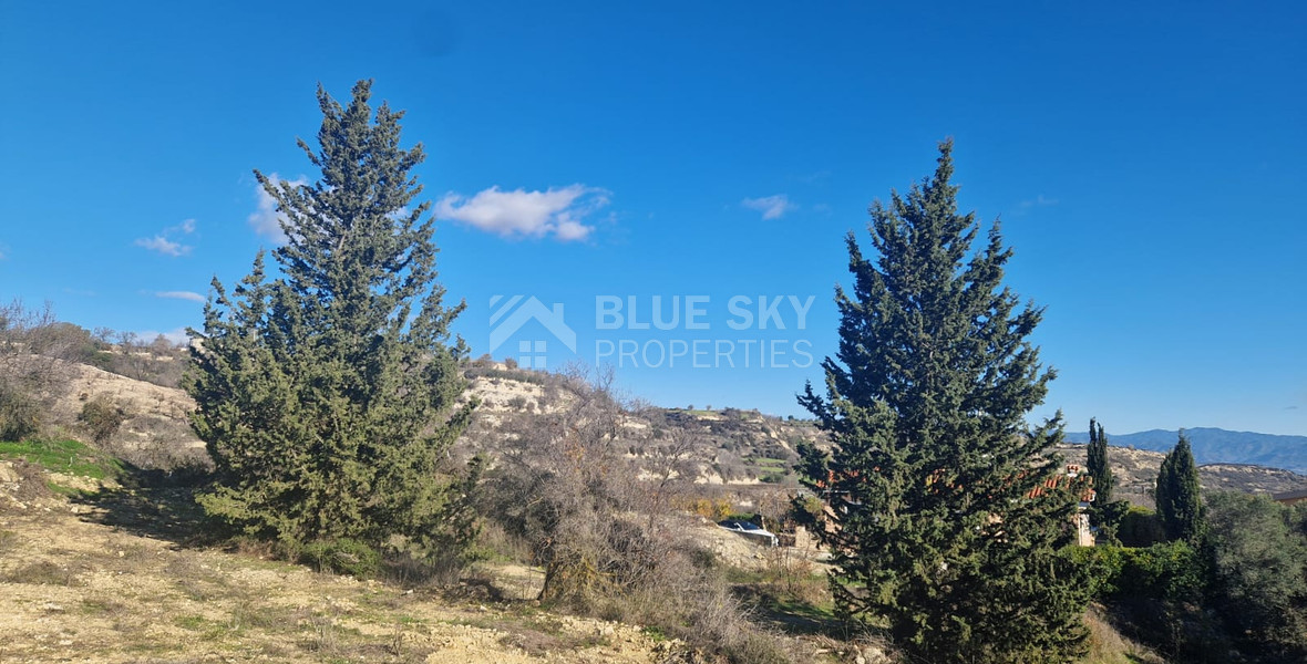 Large 1338 m2 Field for Sale in Tsada