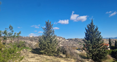 Large 1338 m2 Field for Sale in Tsada