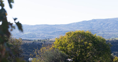 For Sale Semi Detached House One Bedroom Drymou