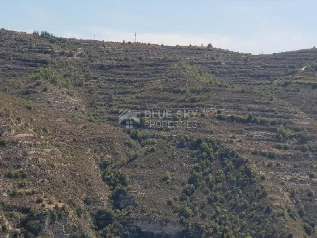 Agricultural Land for Sale – Koilani, Limassol District