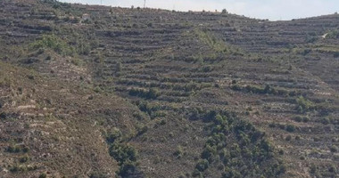 Agricultural Land for Sale – Koilani, Limassol District