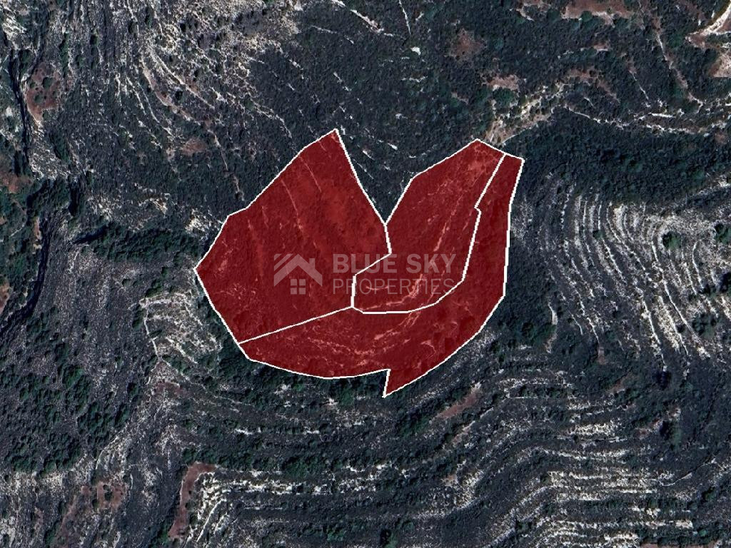 Agricultural Land for Sale – Koilani, Limassol District