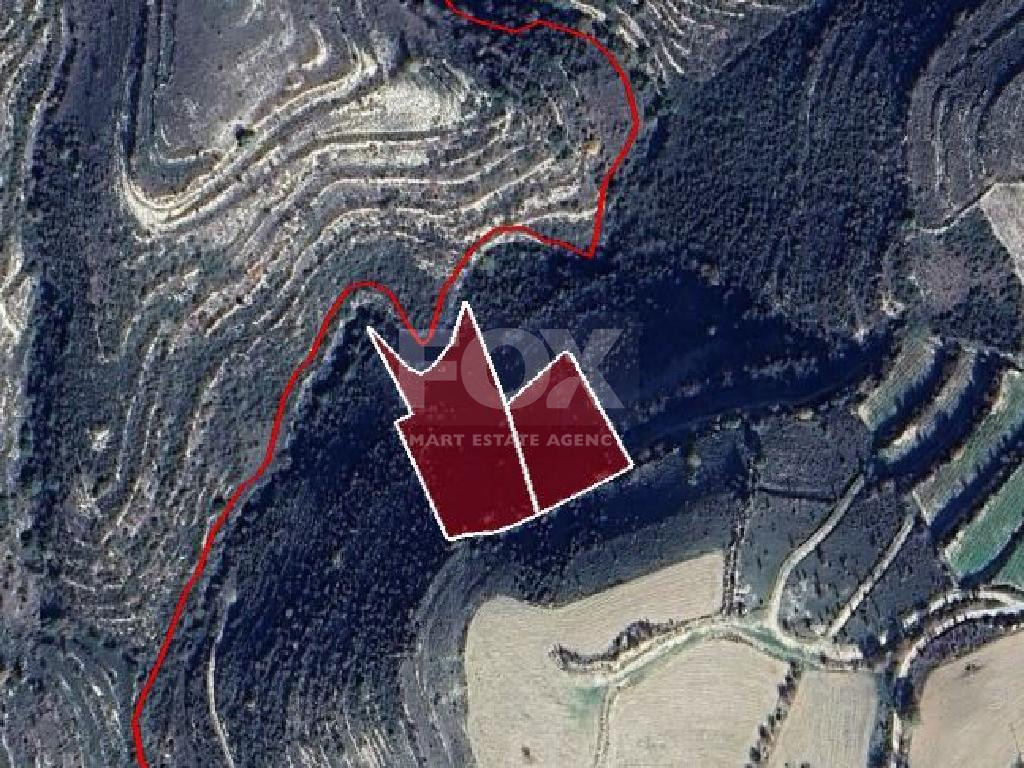 Agricultural Land for Sale – Vasa Koilaniou, Limassol District