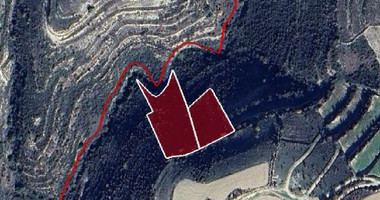 Agricultural Land for Sale – Vasa Koilaniou, Limassol District