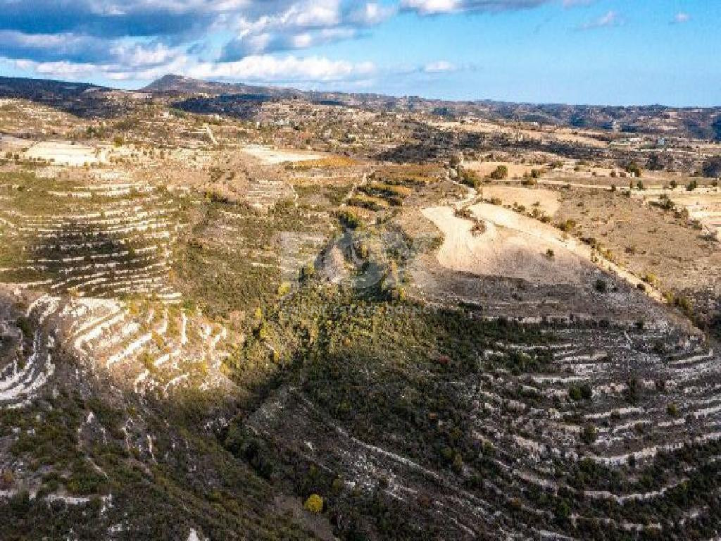 Agricultural Land for Sale – Vasa Koilaniou, Limassol District