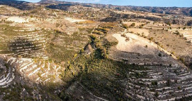 Agricultural Land for Sale – Vasa Koilaniou, Limassol District