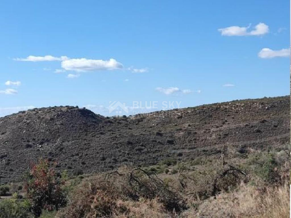 Large Field for Sale – Fasoula Community, Limassol District