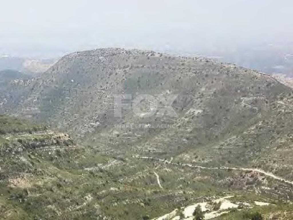 Large Field for Sale – Fasoula Community, Limassol District