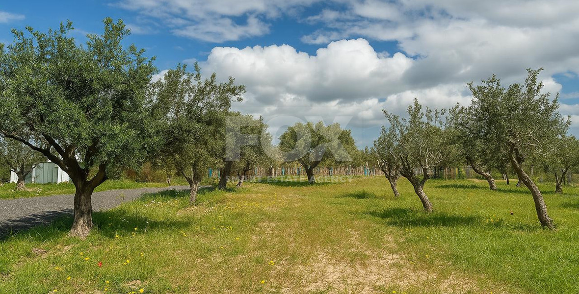 Brand New Four Bedroom Villa for rent , in Scenic Sea Caves