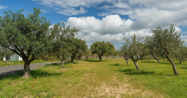 Brand New Four Bedroom Villa for rent , in Scenic Sea Caves