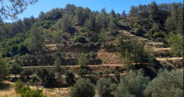 Land for Sale in Kaminaria village, Limassol