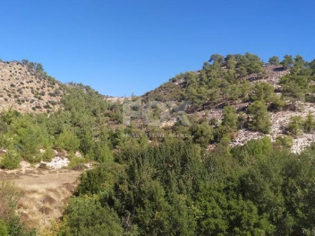 Agricultural Land for Sale – Pachna, Limassol District
