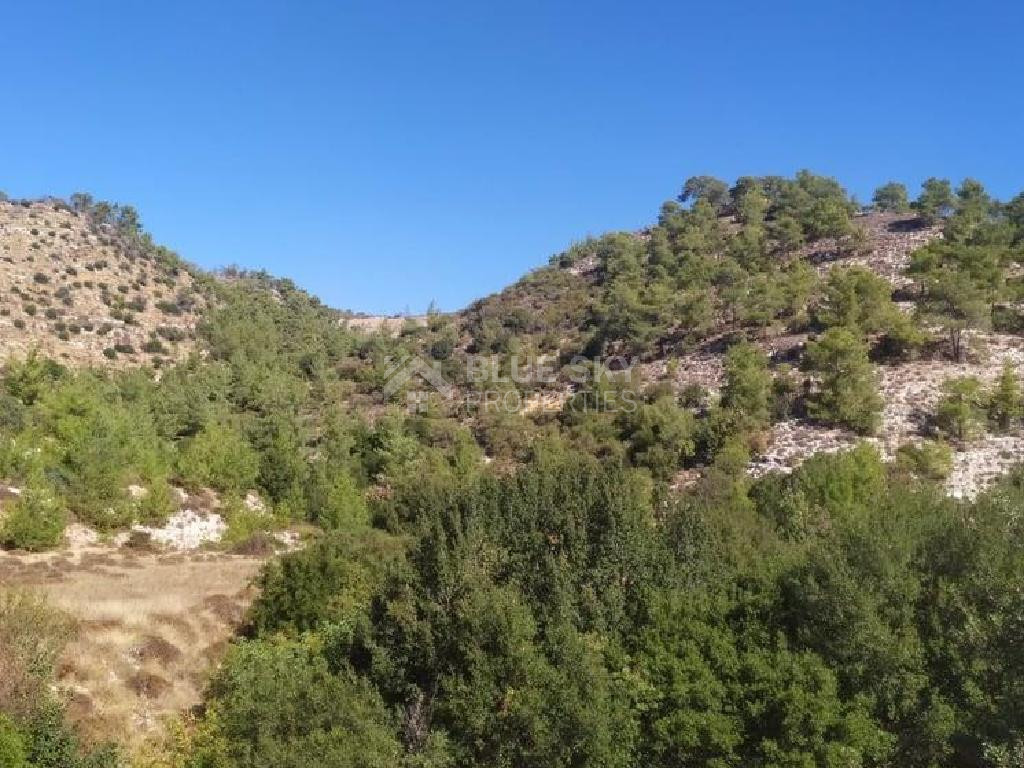 Agricultural Land for Sale – Pachna, Limassol District