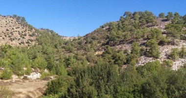 Agricultural Land for Sale – Pachna, Limassol District