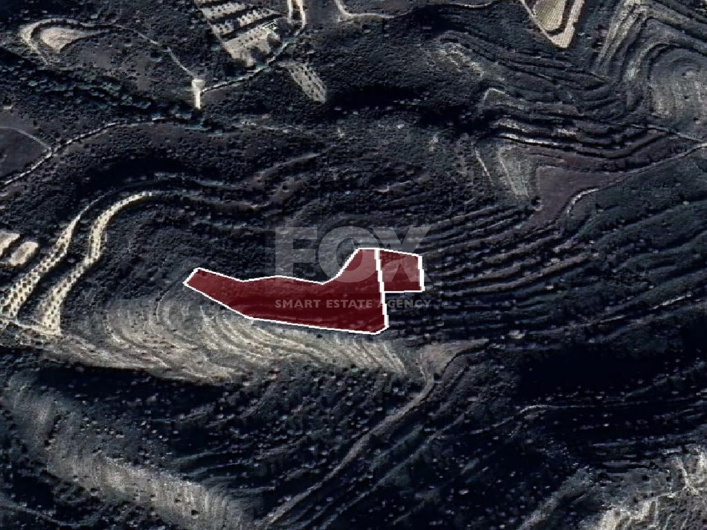 Agricultural Land for Sale – Pachna, Limassol District