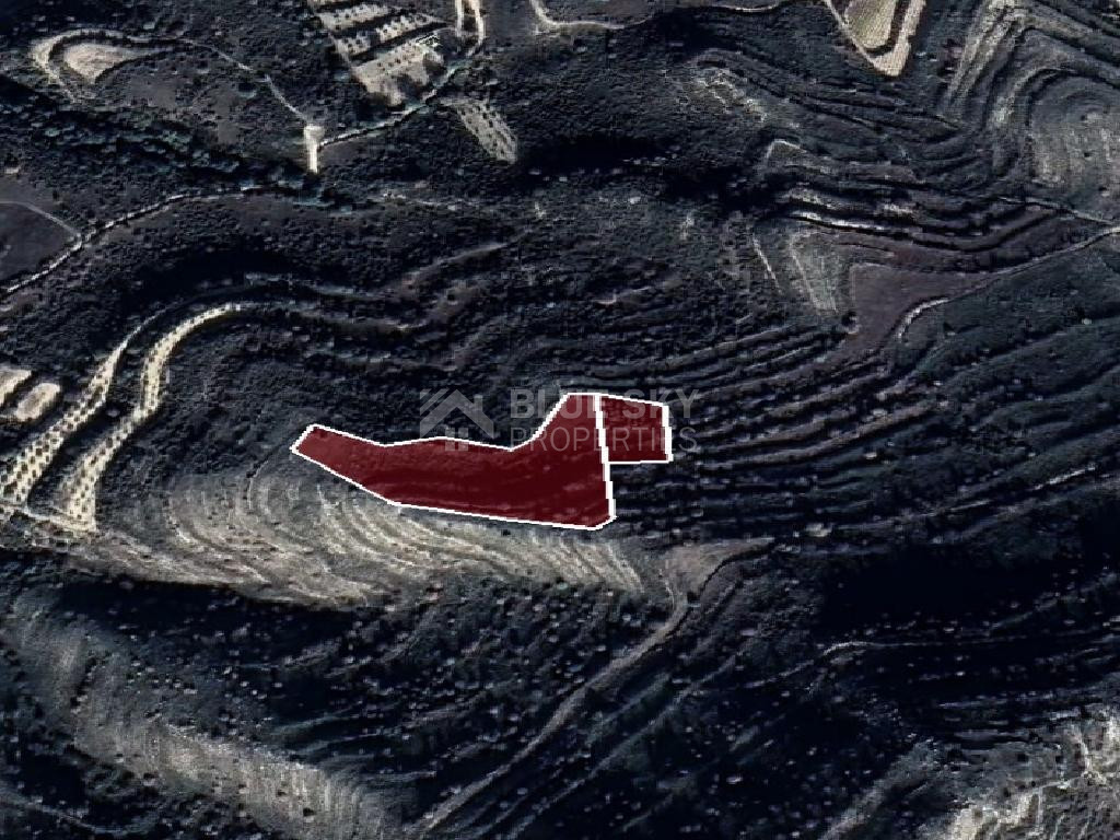 Agricultural Land for Sale – Pachna, Limassol District