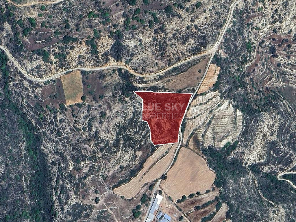 Land for Sale – Dora Community, Limassol District