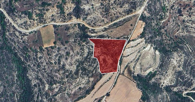 Land for Sale – Dora Community, Limassol District