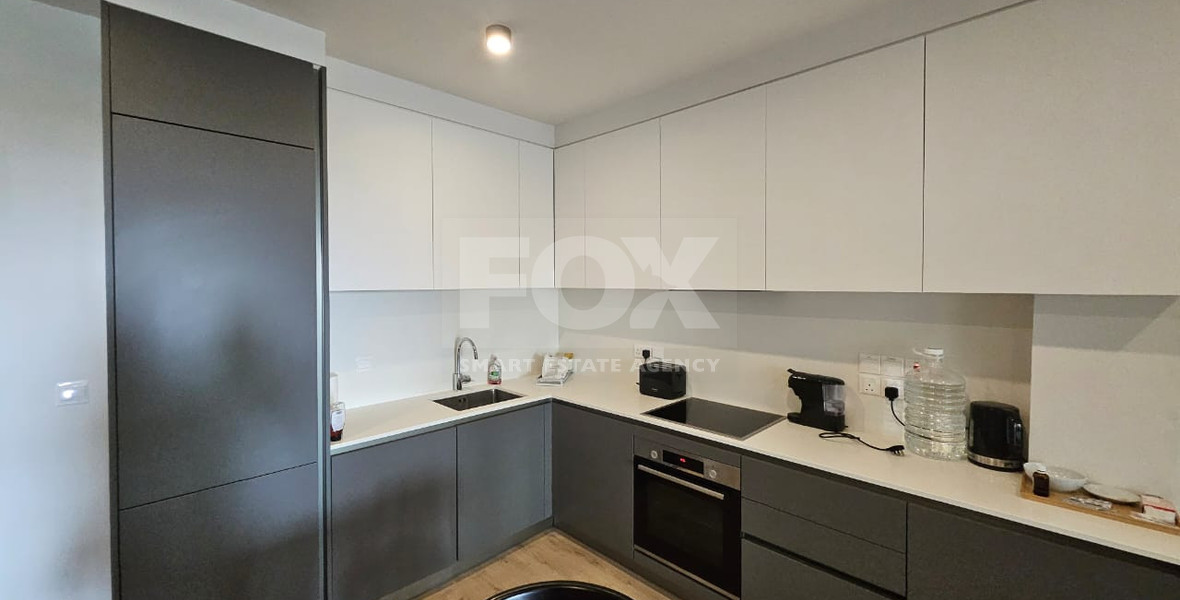 Modern Two Bedroom Apartment for sale in Tserkezoi Tsiftlikoudia- Private ROOF GARDEN