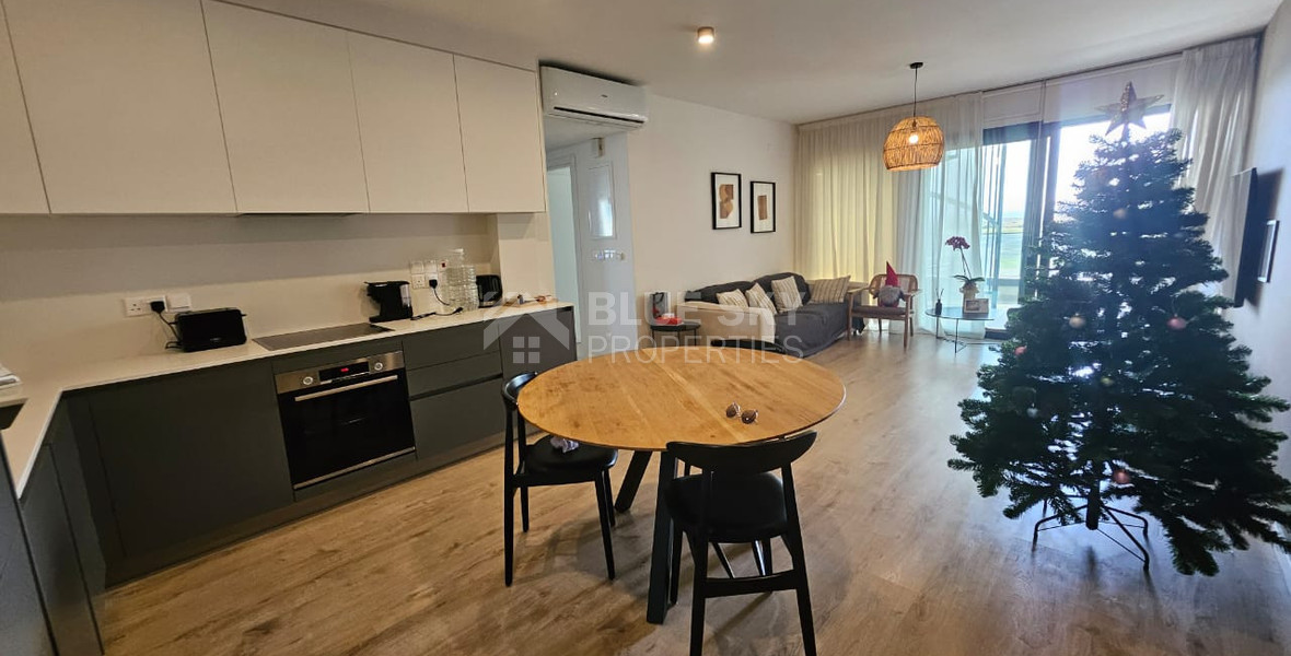 Modern Two Bedroom Apartment for sale in Tserkezoi Tsiftlikoudia- Private ROOF GARDEN