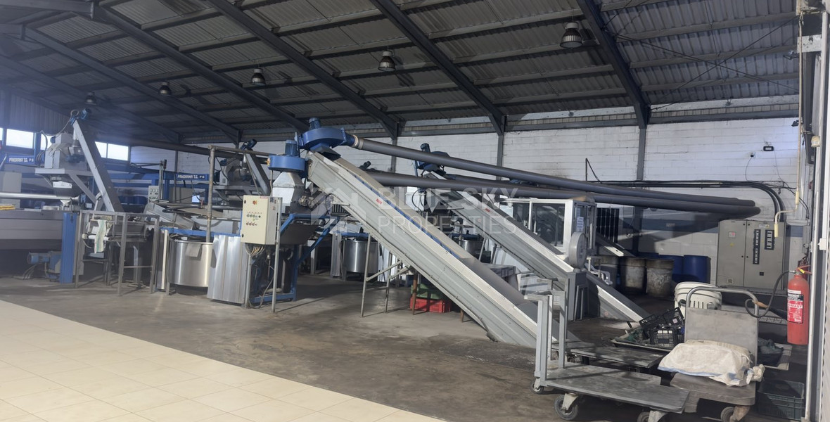 RENT: WAREHOUSE 1,000SQM ON A PLOT OF 4,000 IN THE INDUSTRIAL AGREA OF AGIOS SYLAS