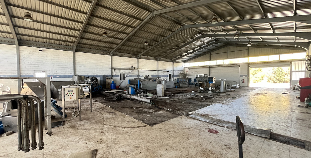 FOR RENT SPACIOUS 850 m2 WAREHOUSE ON A 2,500 m2 PLOT IN THE INDUSTRIAL AREA OF YPSONAS