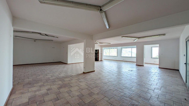 Spacious Two-Storey Detached House  with Basement & Workshop For Sale in Zoopigi Village, Limassol