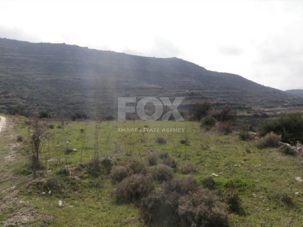 Agricultural Land for Sale (2 Abutting Fields) – Pachna Community, Limassol District