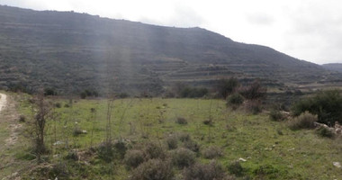 Agricultural Land for Sale (2 Abutting Fields) – Pachna Community, Limassol District