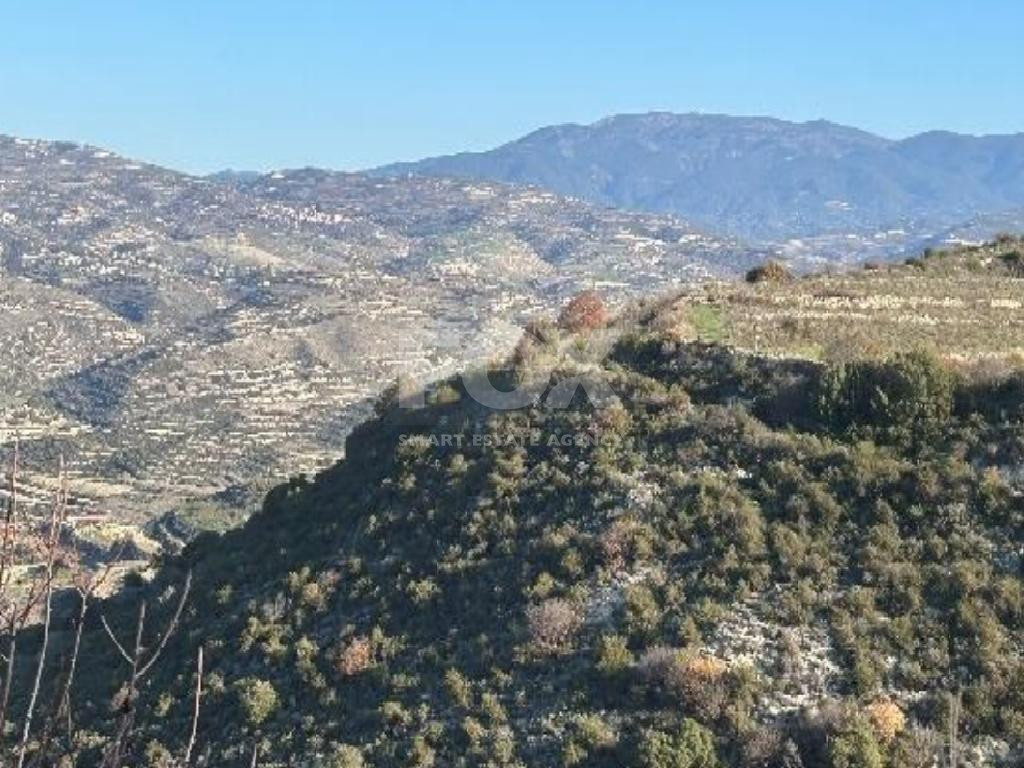 Agricultural Land for Sale (2 Abutting Fields) – Pachna Community, Limassol District